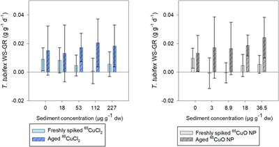 Influence of Aging on Bioaccumulation and Toxicity of Copper Oxide Nanoparticles and Dissolved Copper in the Sediment-Dwelling Oligochaete Tubifex tubifex: A Long-Term Study Using a Stable Copper Isotope